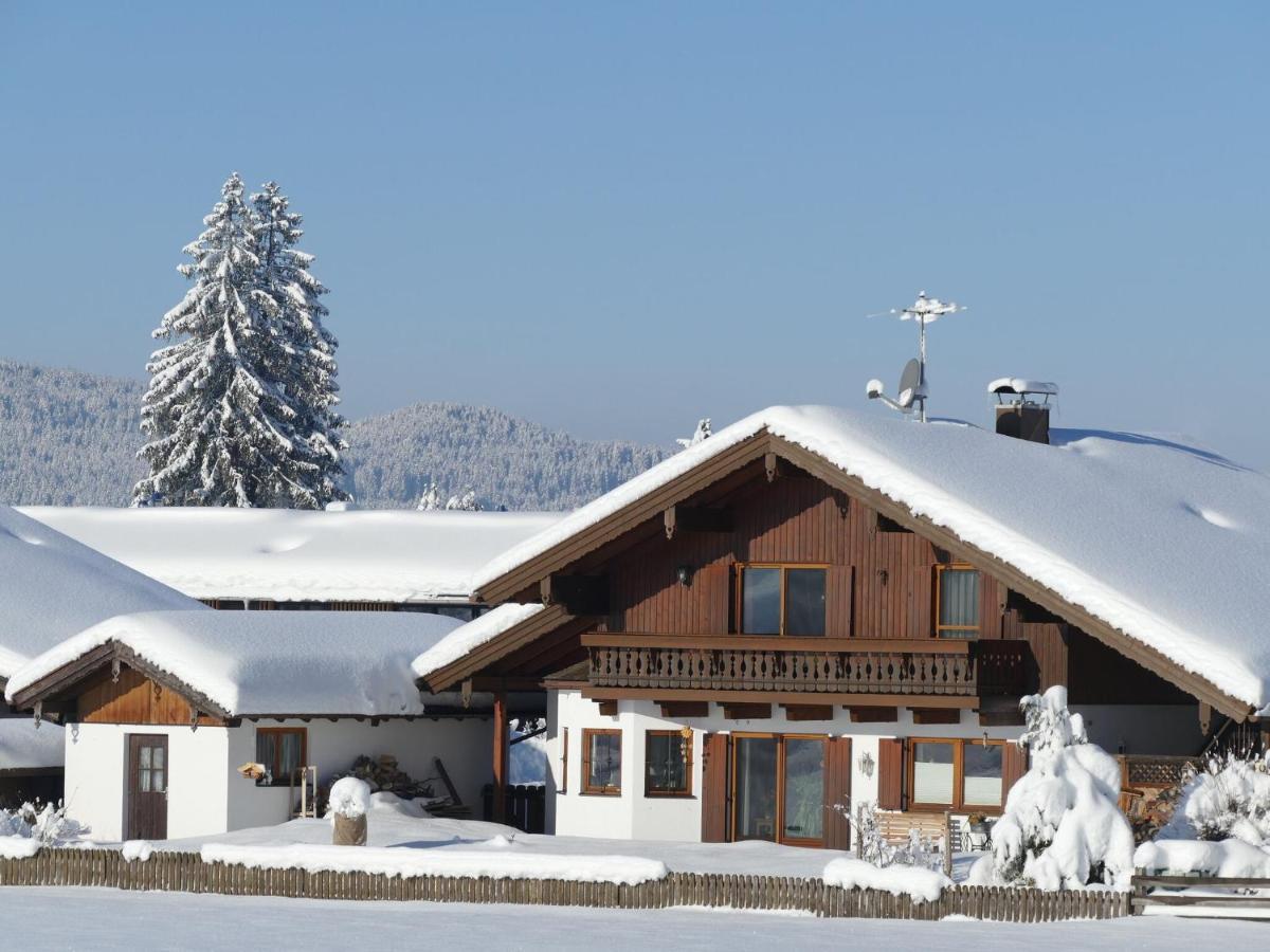 Blissful Apartment In Altenau With Patio Rom bilde